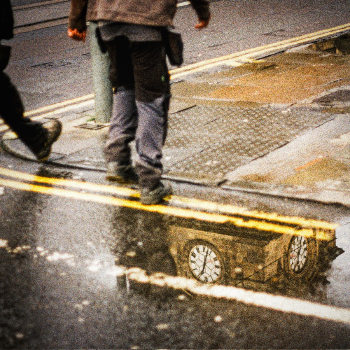 TrueNorthCaptures tweet media