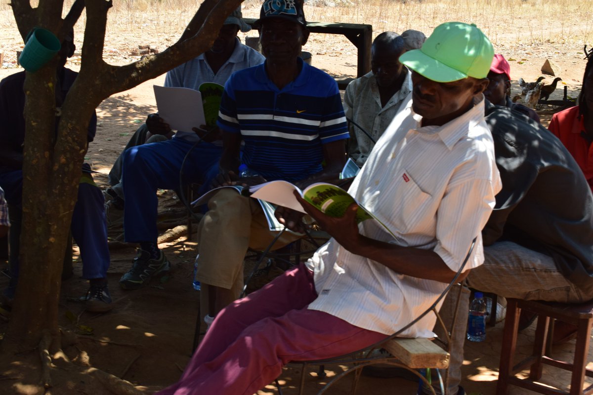 Community Alliance for Human Settlements Zimbabwe tweet media