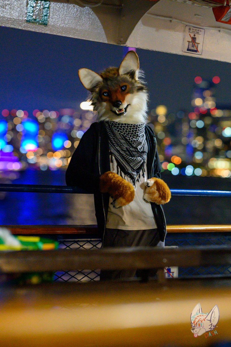 Heard you like them bokeh balls. #FursuitFriday 

📸: <a href="/dashie_captures/">Crystal Pepsi fox</a>