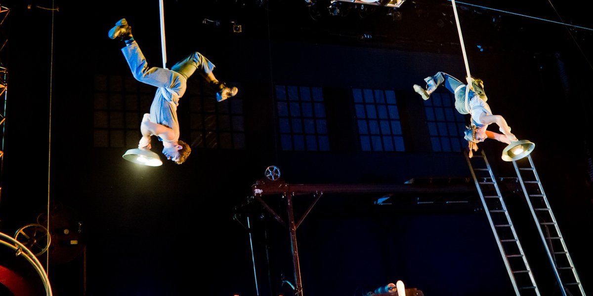 Alliance Artist M. tweet media