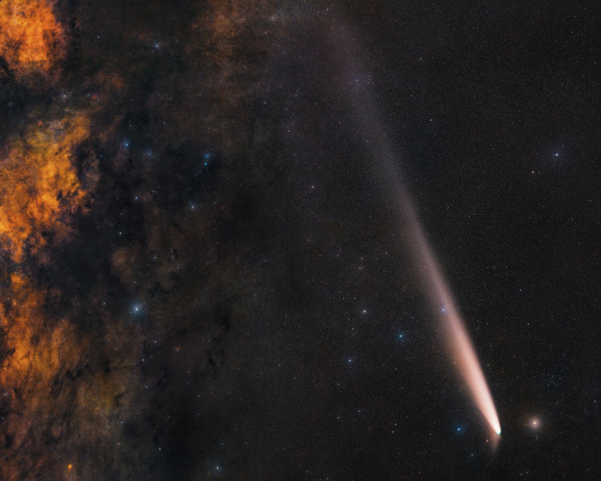 Andrew McCarthy tweet media