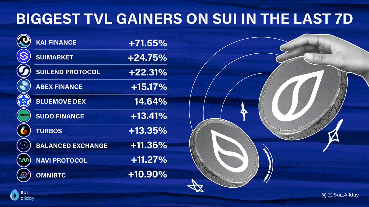 Sui allday tweet media