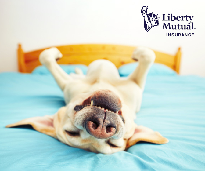 Wright State Alumni tweet media