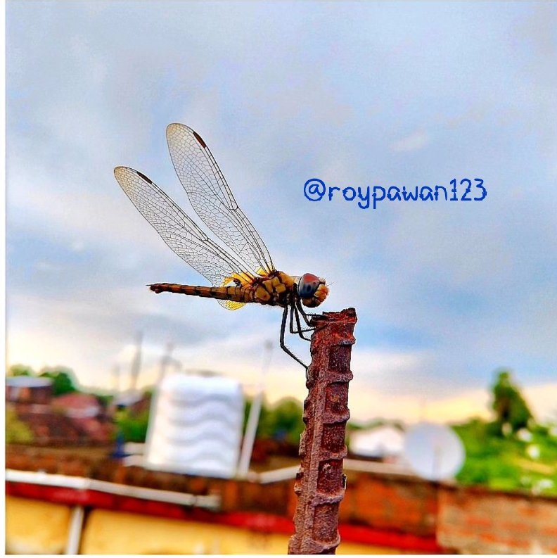 शुभ संध्या दोस्तों ...
दोस्तो आप लोग इस फोटो के लिए,
5 में से कितने नंबर देंगे..??😊