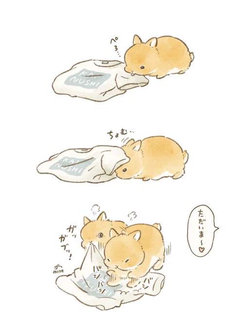 👚🐰おるすばん… 
