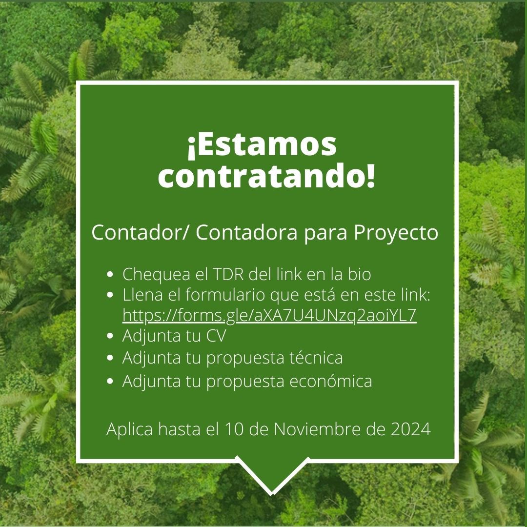 FCAT_EC's tweet photo. 🌱FCAT busca a un/ una contador/a para proyecto
*Postula hasta el 10 de noviembre de 2024* 📢
Chequea los TDR que está en el link a continuación y postula a través del formulario que se encuentra descrito en el mismo: https://t.co/7CkiO66NsF https://t.co/VlD8wibKN0