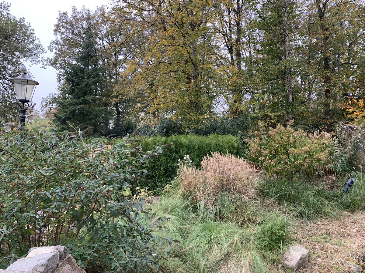 Coshira_'s tweet photo. Om de rookzone staat inmiddels een heg
#Rookzone #Efteling https://t.co/2sDfANc66I