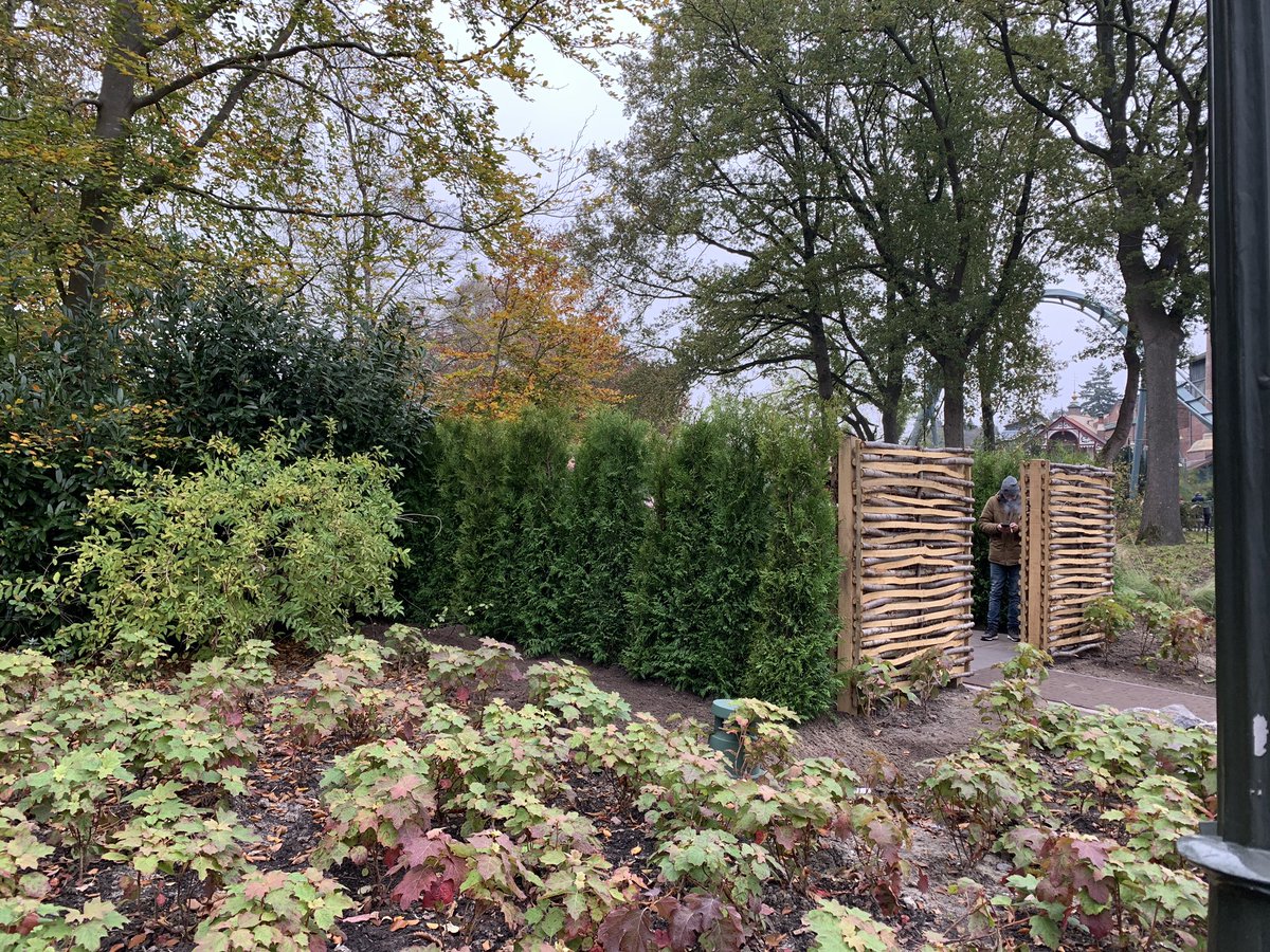 Coshira_'s tweet photo. Om de rookzone staat inmiddels een heg
#Rookzone #Efteling https://t.co/2sDfANc66I