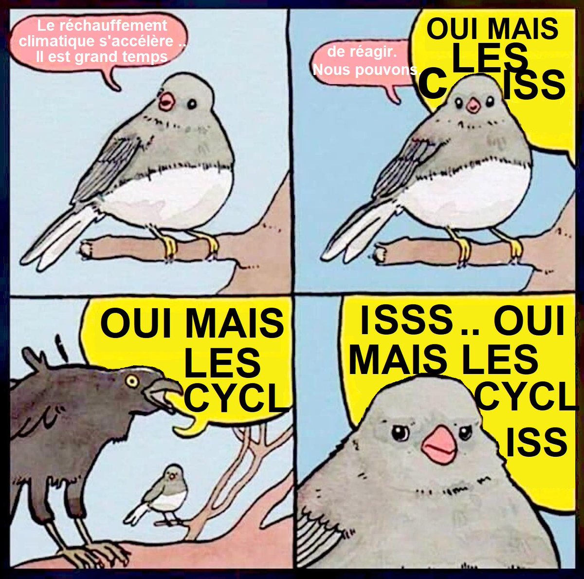 Vélorution Lorient tweet media