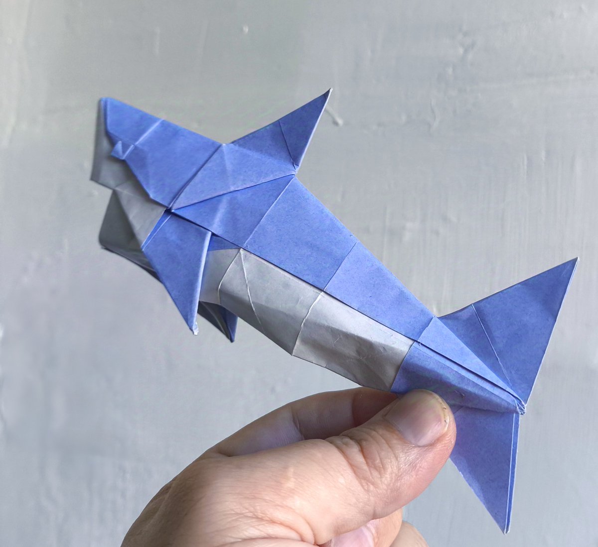 Mini Shark. By <a href="/Kaiming_origami/">涂开明 / Tu Kaiming</a> Double side extra large 35 cm from store <a href="/PassionOrigami/">TERRY Nicolas</a>