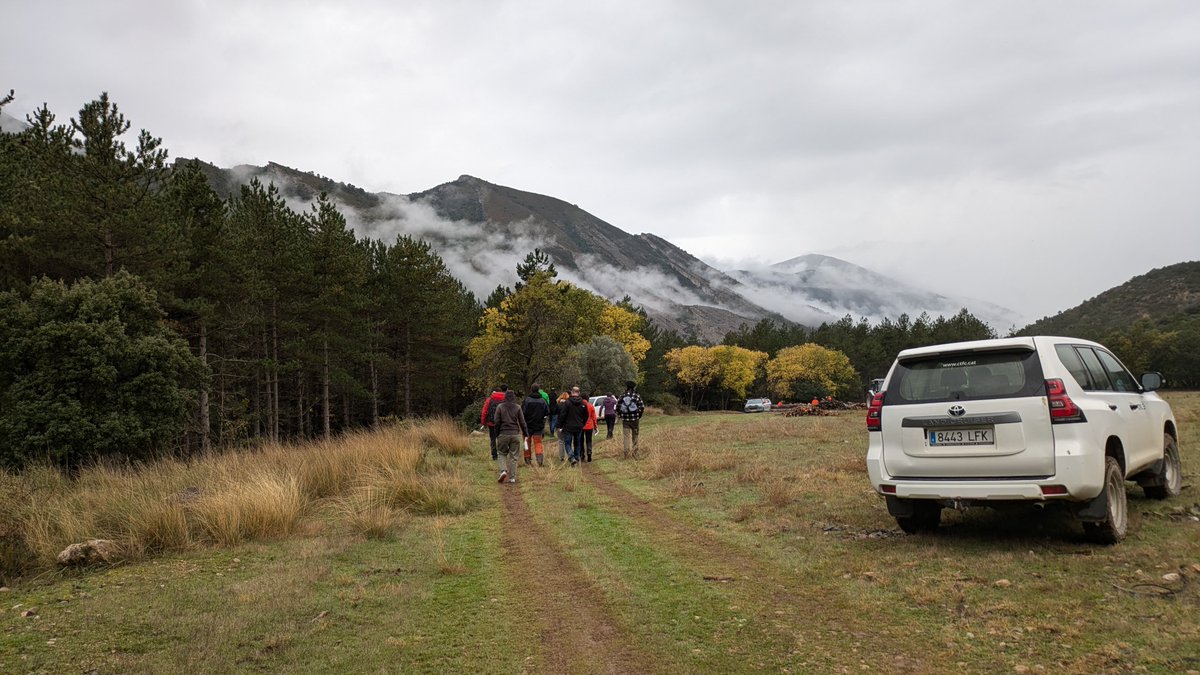 ctforestal's tweet photo. 🚀 Finaliza el 1er taller presencial de #REFORADAPT en Tremp, organizado por el #CTFC con el #apoyo de @FBiodiversidad #ProyectosFB
🌲Expertos en restauración forestal y adaptación al cambio climático debatieron los resultados de un cuestionario inicial, buscando el consenso 🤝 https://t.co/gTsvFpxqeh