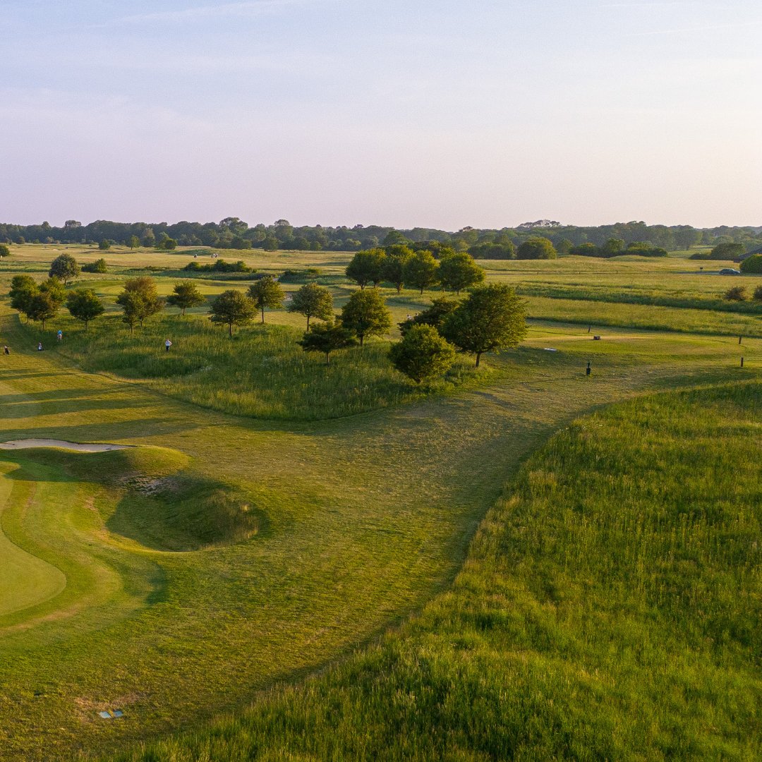 Farleigh tweet media