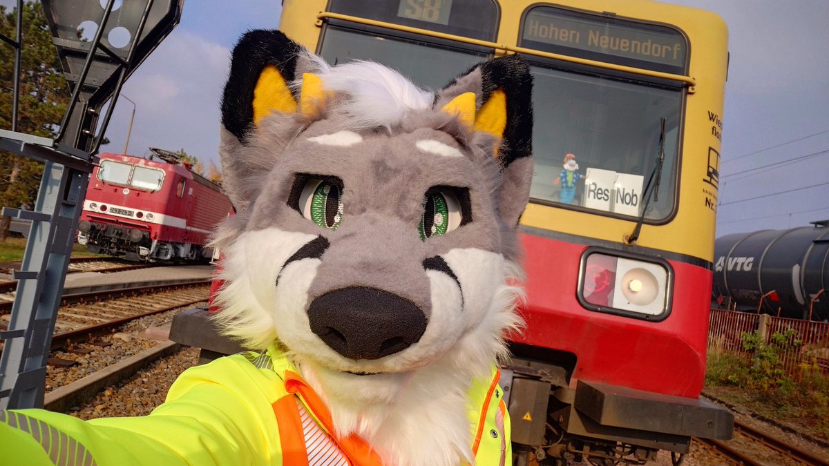 Happy #FursuitFriday to ya all! :P

Suit by <a href="/spacealienfox/">furr.club</a>