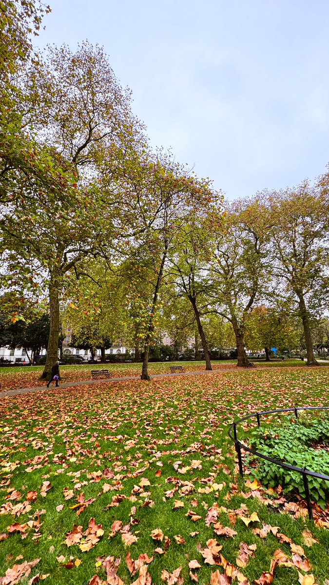 itsardhi's tweet photo. autumn in London https://t.co/OTrn4igWFy