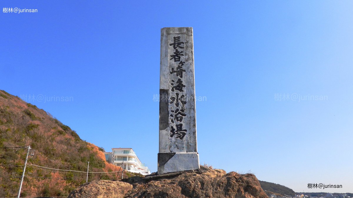 winchangyo's tweet photo. 東京都内から行きやすい海水の綺麗なビーチとして人気の逗子・葉山エリアには6つの海岸があり、その最南端のビーチが長者ヶ崎海水浴��です。ここは県内海岸道路134号の中でも特に目立つ相模湾の岬で、これより先はコバルトグリーンに輝く関根海岸となり日本最強の軍港で知られる横須賀市となります🌿 https://t.co/tMdOKWxDXh