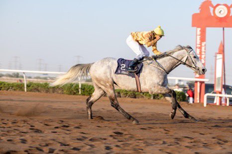 KuwEquestrian's tweet photo. قدم الجواد ( شوك ويفر ) لإسطبل الجعيديه نفسه بصوره ممتازه عندما تفوق علي منافسيه بمسافة ١٦٠٠ متر بالشوط الرابع بالاجتماع الافتتاحي https://t.co/8QOGwpuwcQ