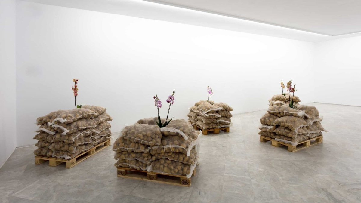 If you are visiting Seville, you can now view Ruskin DPhil student Rafael Pérez Evan's new installation on show, part of the group exhibition TABLAO: Stage of Forms in Andalusian Contemporary Art, at Centro Andaluz de Arte Contemporáneo. Until 9th February.

📷 courtesy CAAC