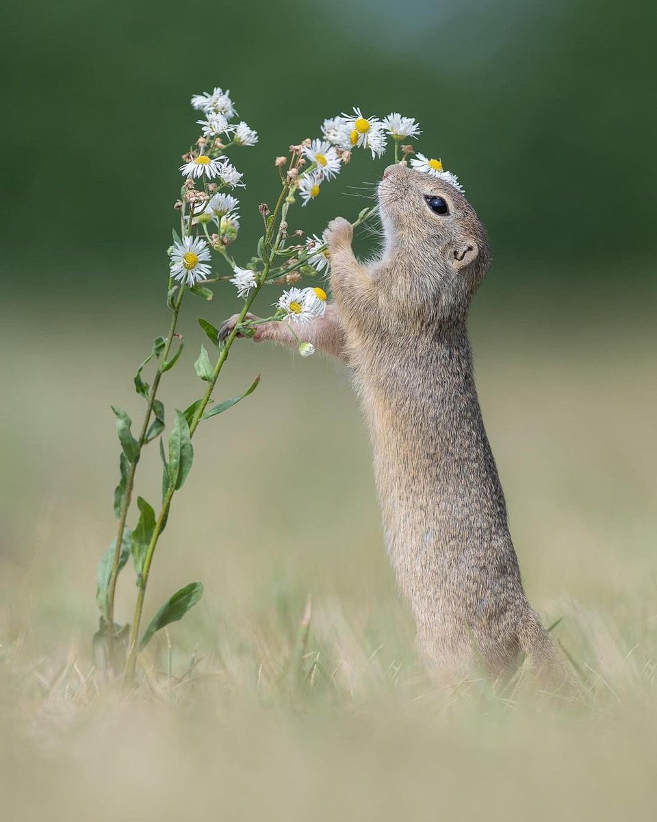 JeanetteEliz's tweet photo. Hello Everyone! 💛 Have a beautiful day  💞🌸💕 https://t.co/4e3be0xaFQ