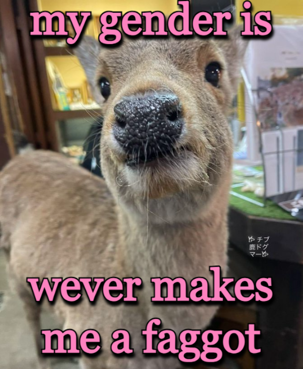 mfing deer girl 2sday tweet media