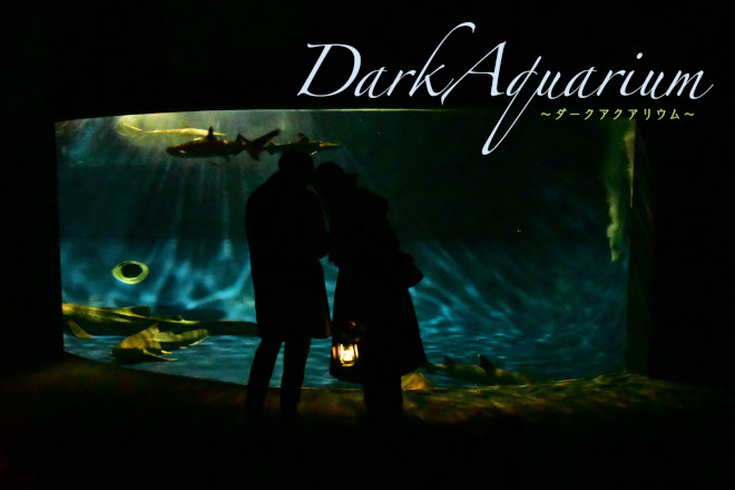 DarkAquarium -ダークアクアリウム- ~湘南の宝石のそのあとに DarkAquarium -ダークアクアリウム- ~湘南の宝石のそのあとに
