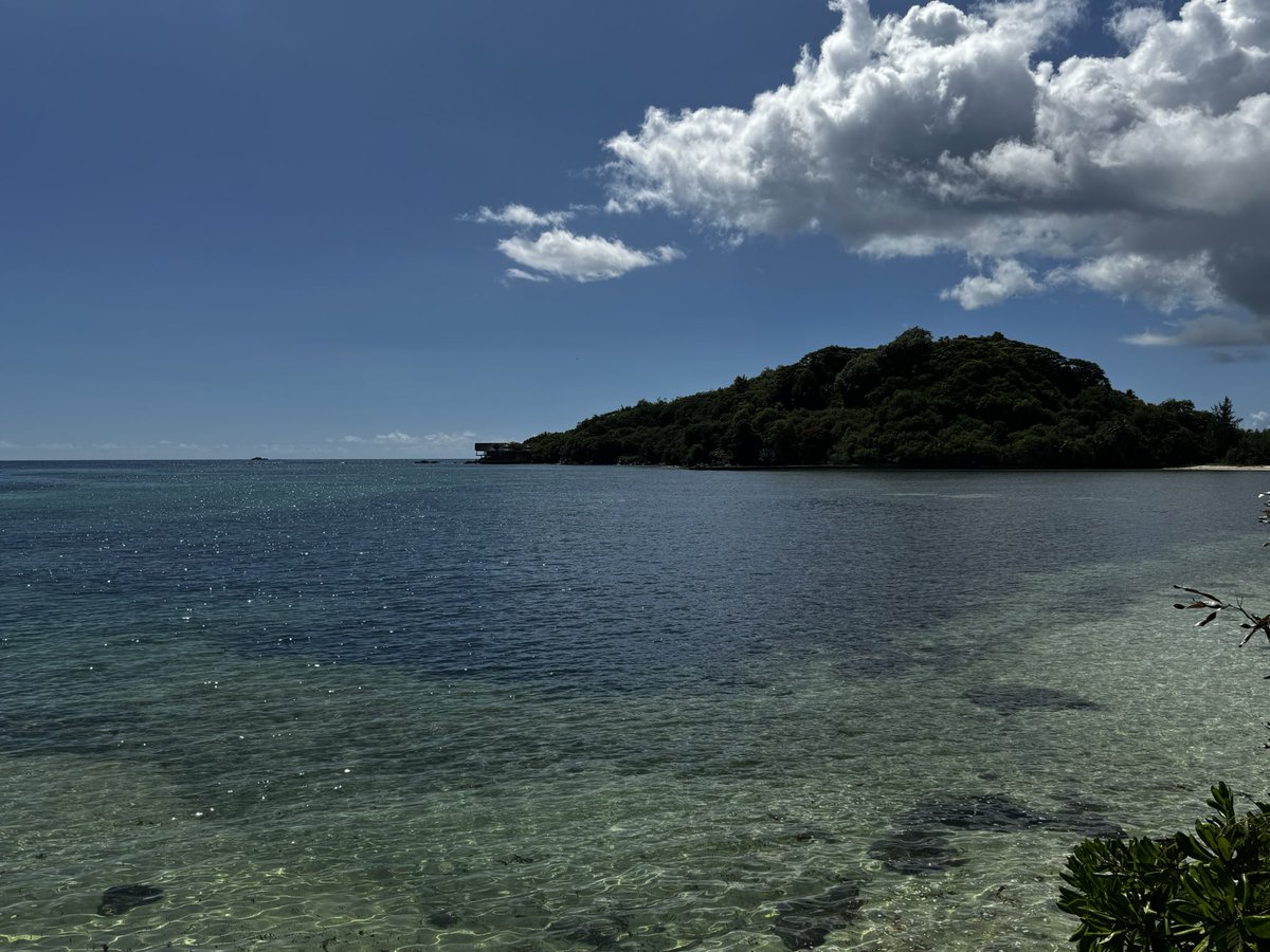 Joe 🇬🇧🇦🇪 🚀 tweet media