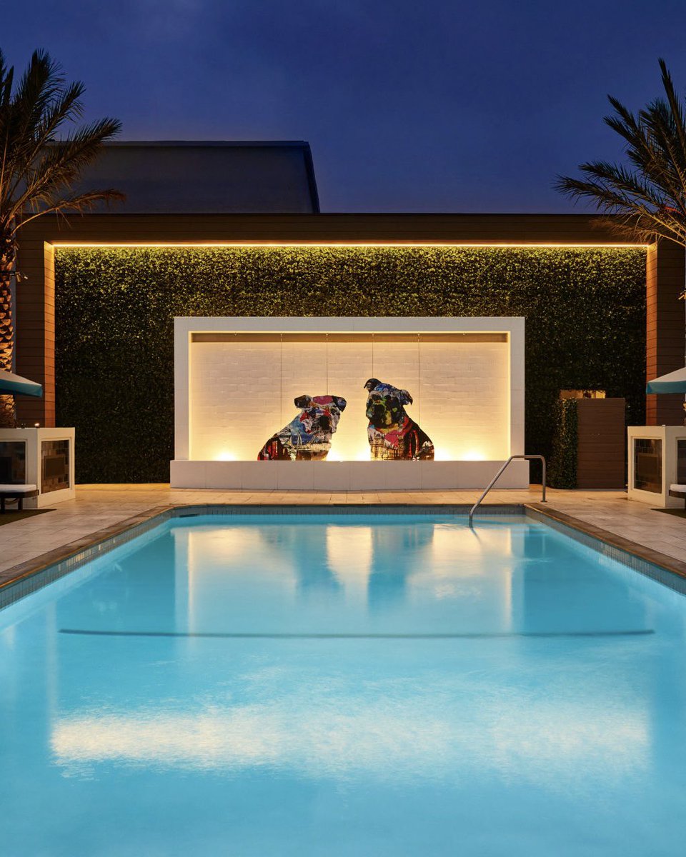 World Rainbow Hotels tweet media