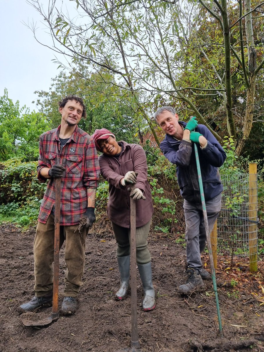 BOSF - @bosfonline.bsky.social 🦋 tweet media