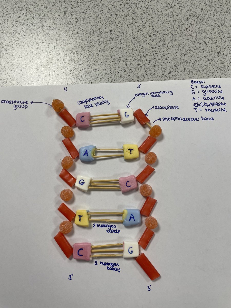 Biology at King's tweet media