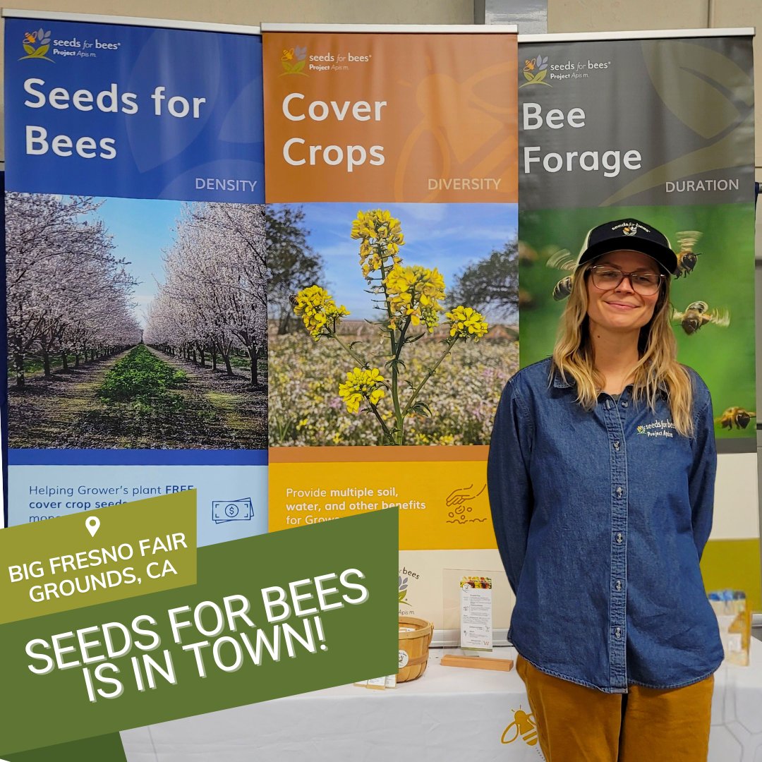 ProjectApism's tweet image. Today’s the day! The Seeds for Bees® team is at the Grape, Nut, &amp;amp; Tree Fruit Expo in Fresno. Stop by to chat with Brett LeDuc about how cover crops boost honey bee health. 
#SeedsForBees #HoneyBeeHealth #CoverCrops #GrapeNutTreeFruitExpo
