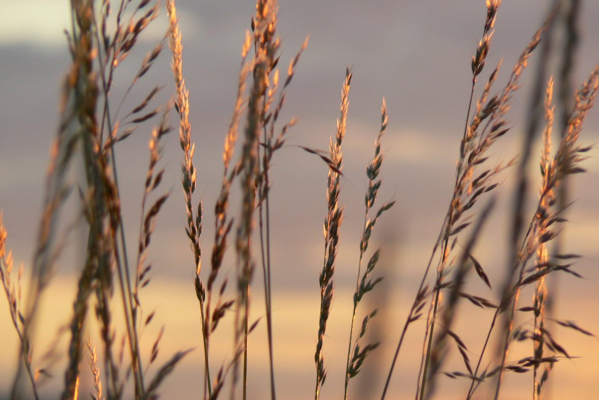 TWIC Manager tweet media