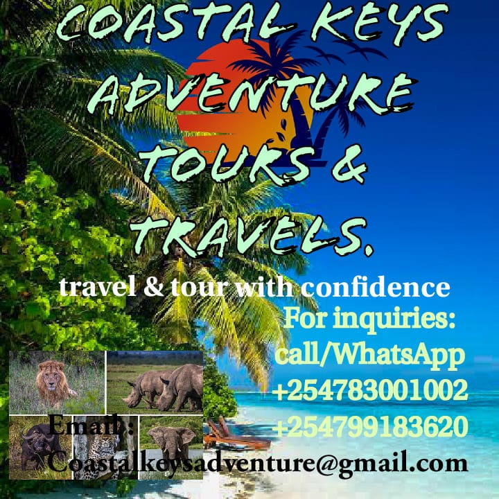 Brisqodon's tweet photo. Travel and tour with confidence https://t.co/qTPqcNCfgM #coastalkeysadventuretoursandtravels https://t.co/GV7qhbESAb