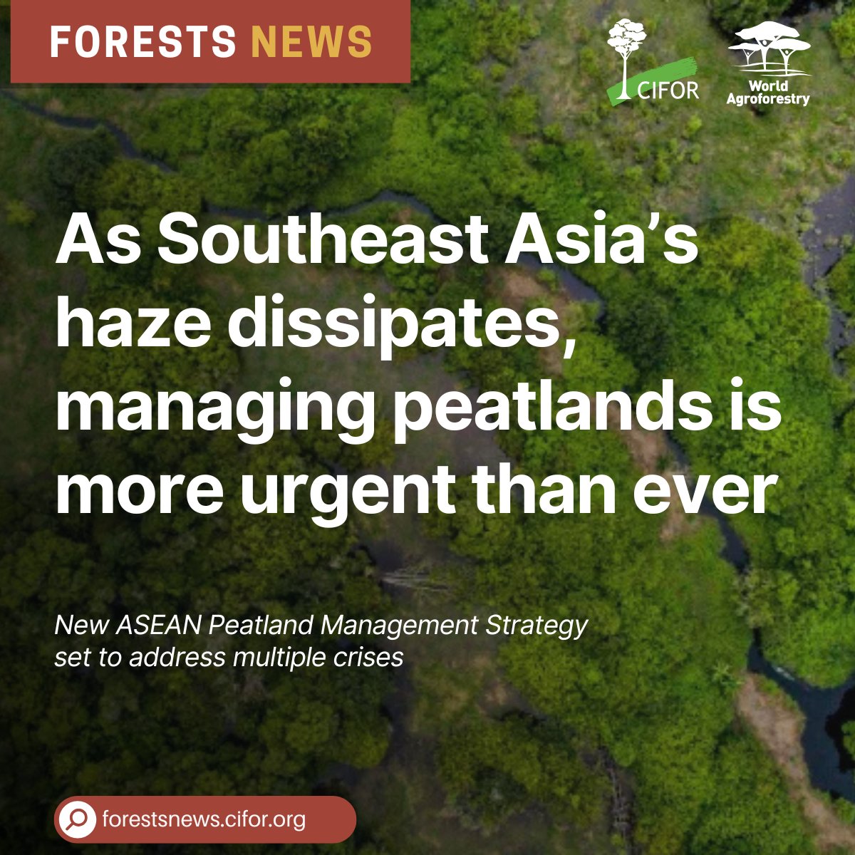 CIFOR-ICRAF tweet media