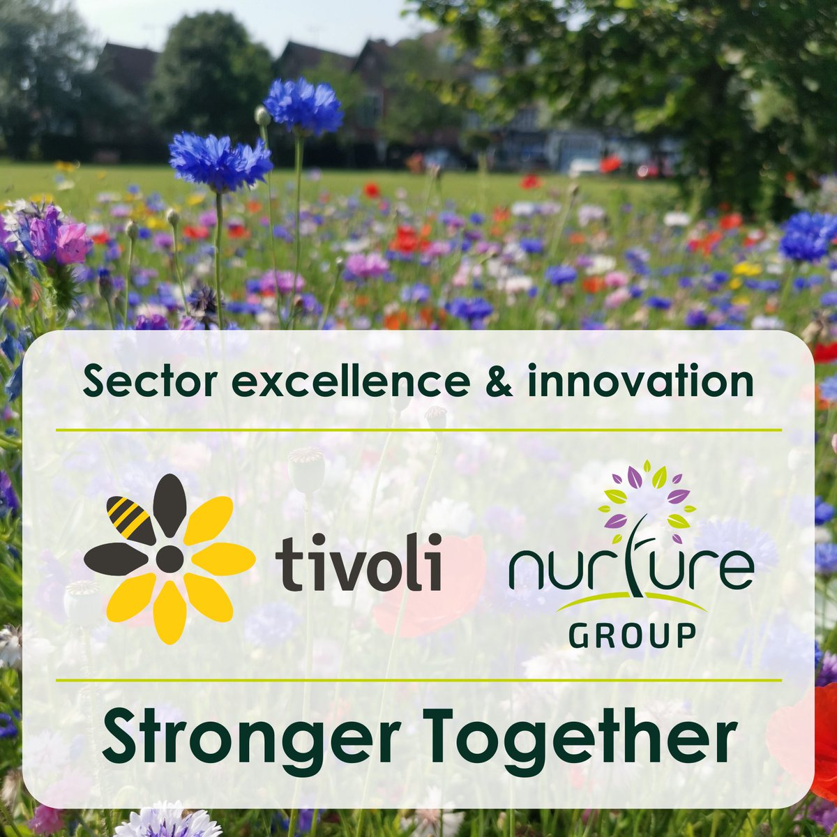 Tivoli Group Ltd (@tivoligroupltd) on Twitter photo A new era for the UK landscaping sector 🌿
Tivoli joins <a href="/nurturegroup_uk/">The Nurture Landscapes Group</a> to drive excellence, sustainability & growth across the industry. Together, we’re setting new standards in ethical employment, innovation & environmental stewardship 🌱 #StrongerTogether #UKLandscaping A new era for the UK landscaping sector 🌿
Tivoli joins <a href="/nurturegroup_uk/">The Nurture Landscapes Group</a> to drive excellence, sustainability & growth across the industry. Together, we’re setting new standards in ethical employment, innovation & environmental stewardship 🌱 #StrongerTogether #UKLandscaping