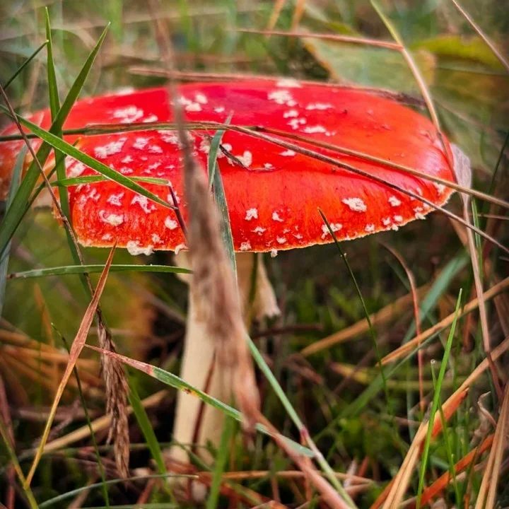 Creating some unforgettable memories❤️