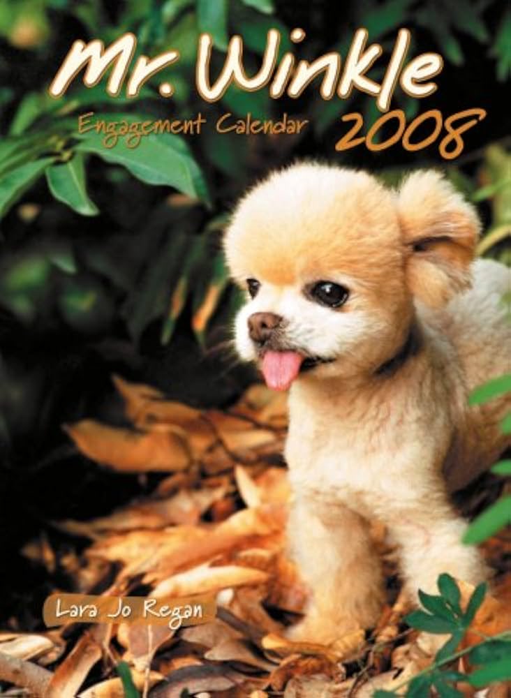 Mr Winkle (@mrwinkleonbase) on Twitter photo 