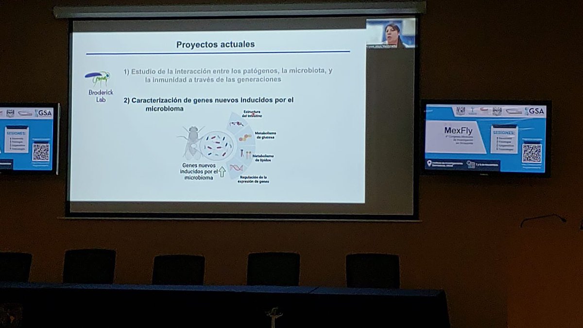 Krystal_Maya_M's tweet photo. The #MexFly meeting was yesterday in Mexico City at UNAM. I am vert happy to had presented (virtually) my work in the section MexFly around the world! Thank you to the organizers and sponsors! @yosoyden @GeneticsGSA https://t.co/vqpi8cz3fj