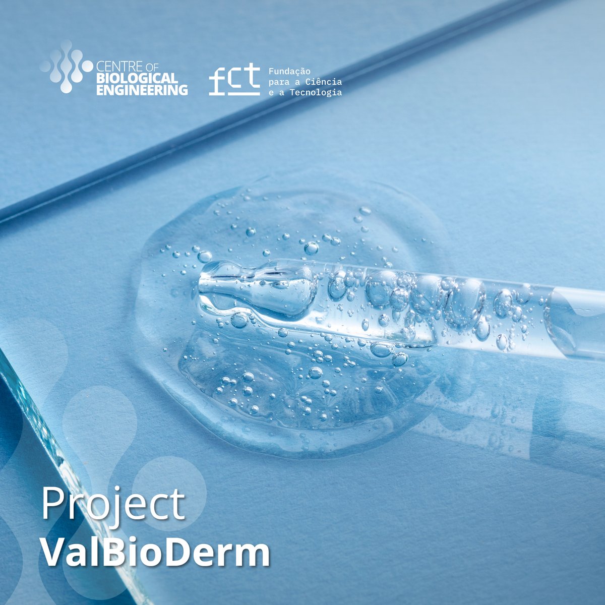 Promoting #skin health with #natural solutions!
The #ValBioDerm Project aims to explore the potential of #prebiotic biosurfactants produced by lactic bacteria in #cosmetic product formulations.
Learn more here: lkme.pt/4FiBl