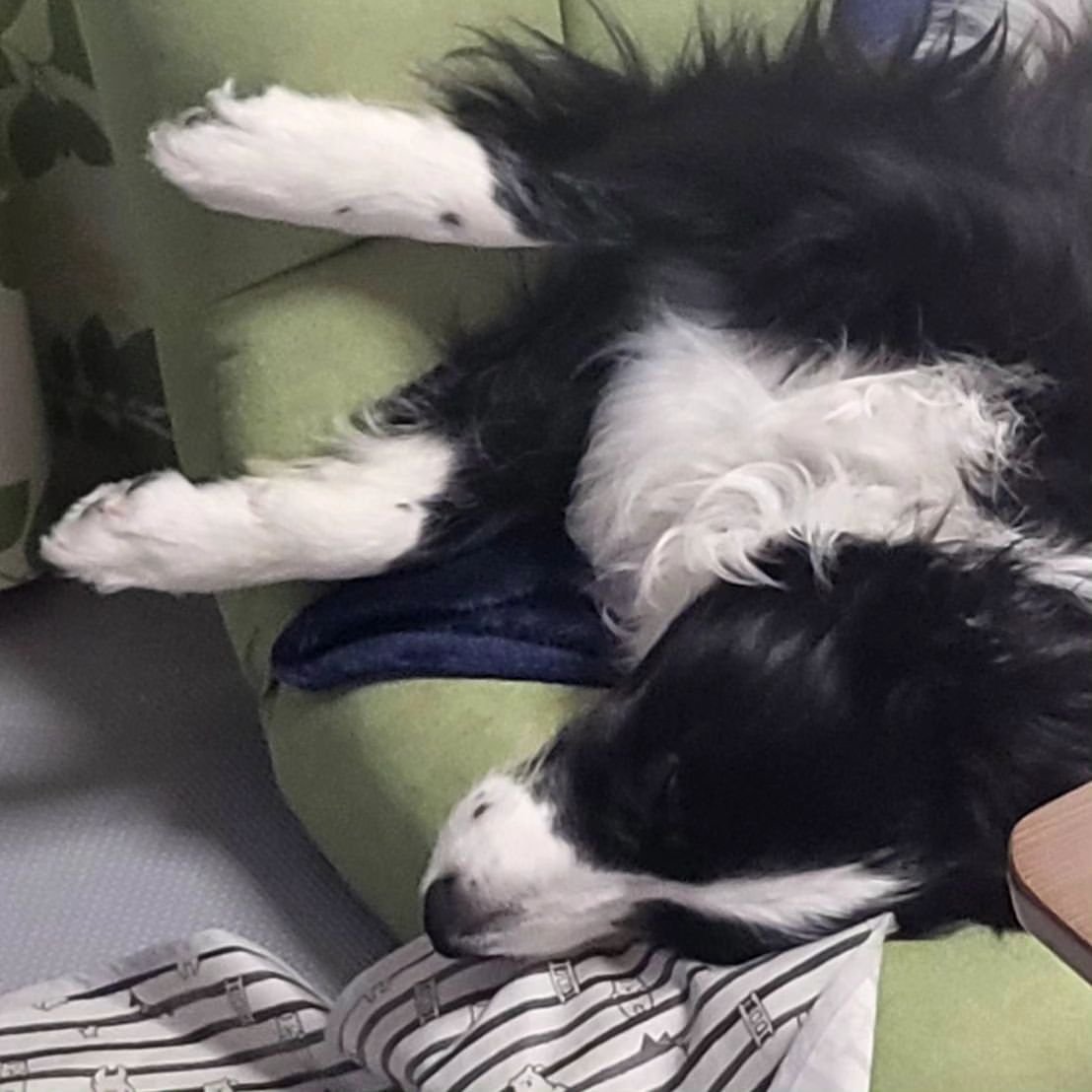 puppynotpuffy's tweet photo. เหม่อเชียว lol https://t.co/eeFK6ZMZym