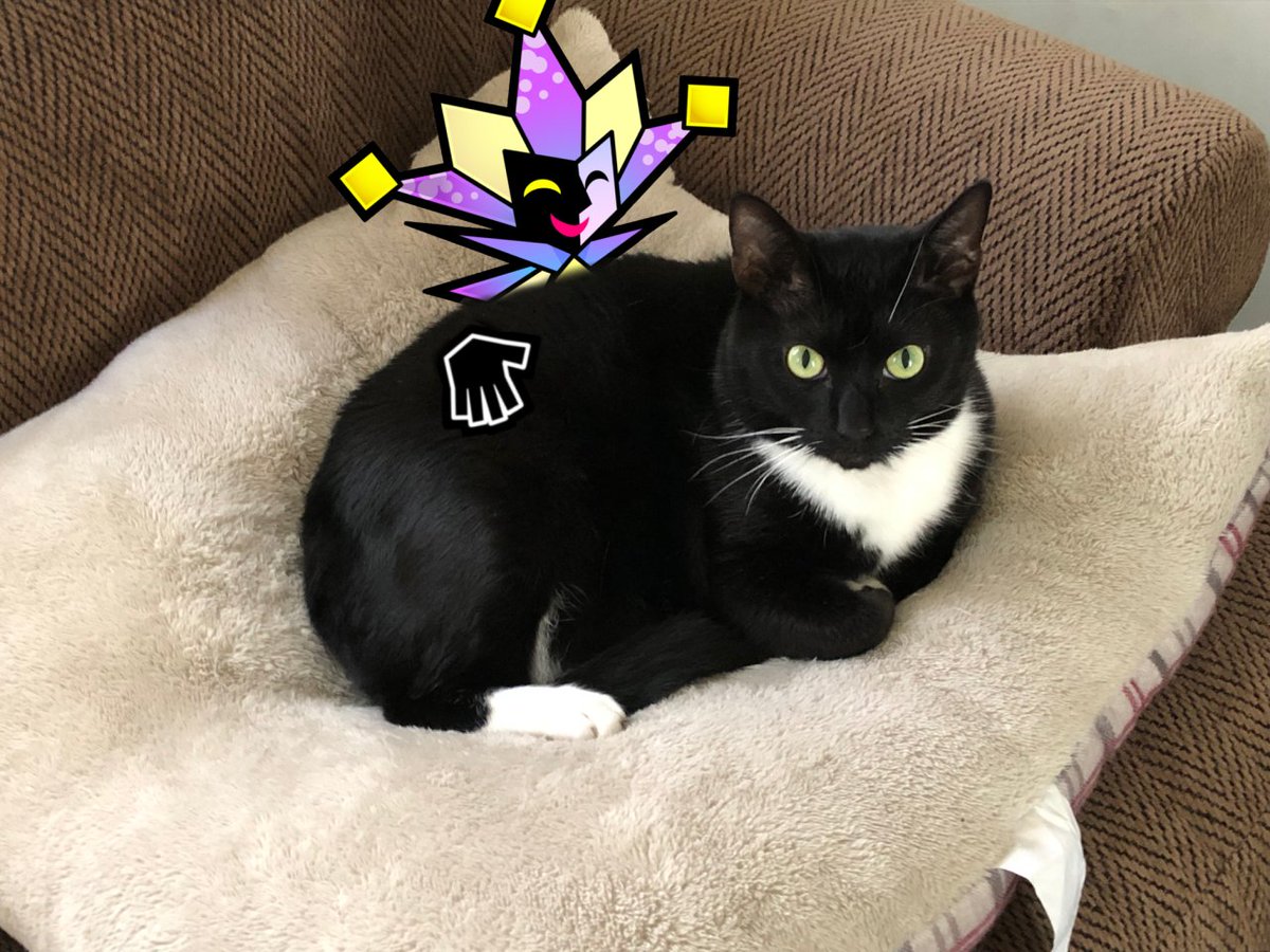 cheese_darth's tweet photo. Hippity hoppity, the Loaf is now my property!
I will use this to destroy all worlds... and create perfect new ones! https://t.co/WgmyslT2h8