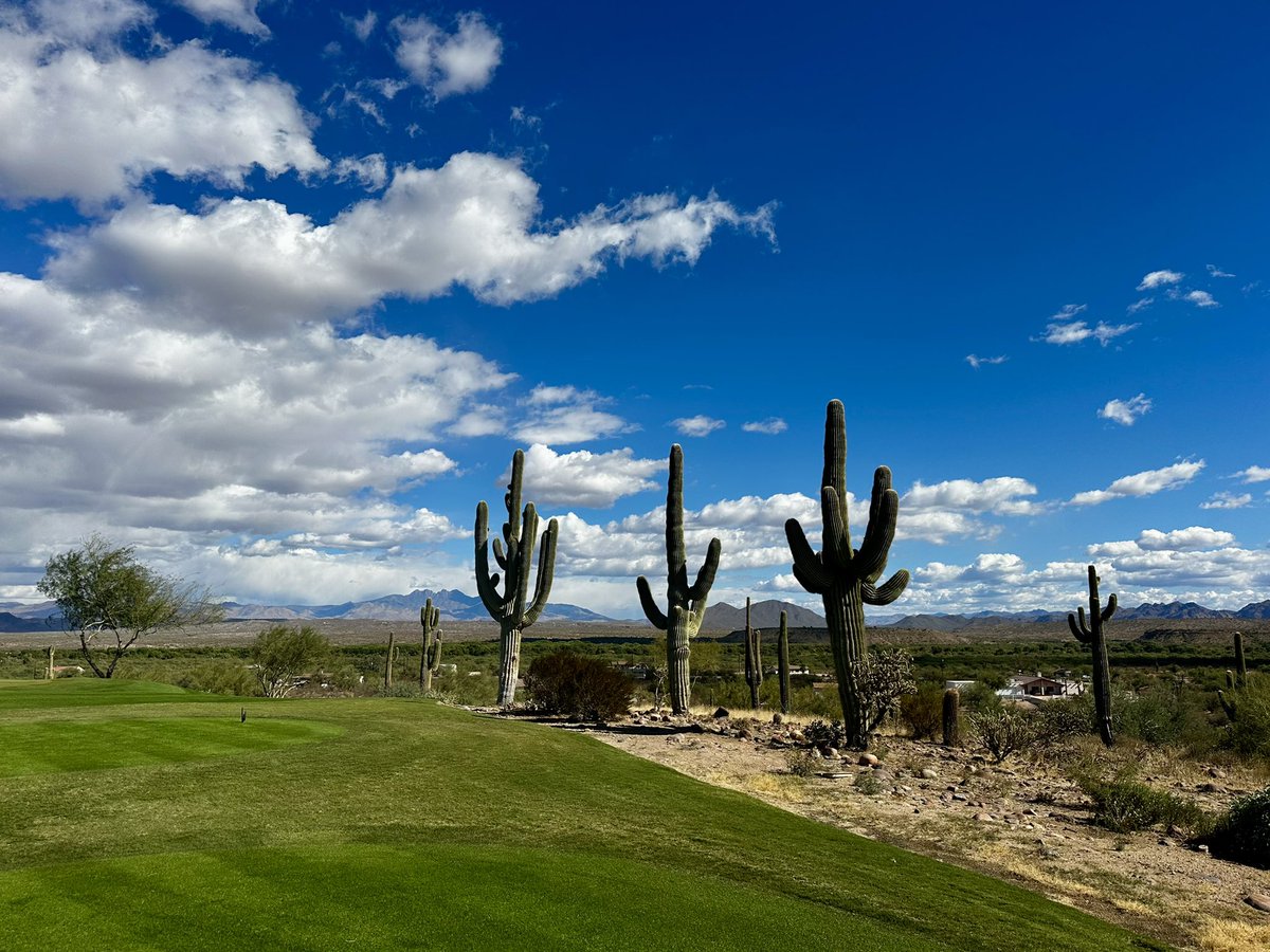 Gareth Williams tweet media