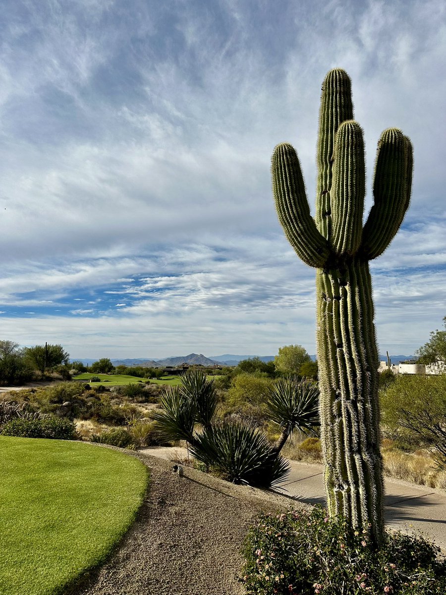 Gareth Williams tweet media