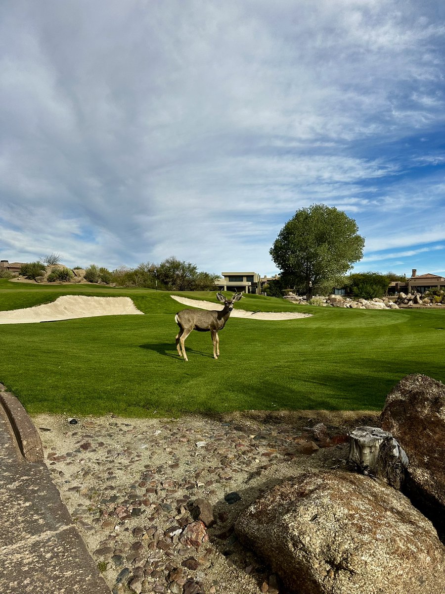 What a day <a href="/TroonNorthGC/">Troon North GC</a> <a href="/Troon/">Troon</a>