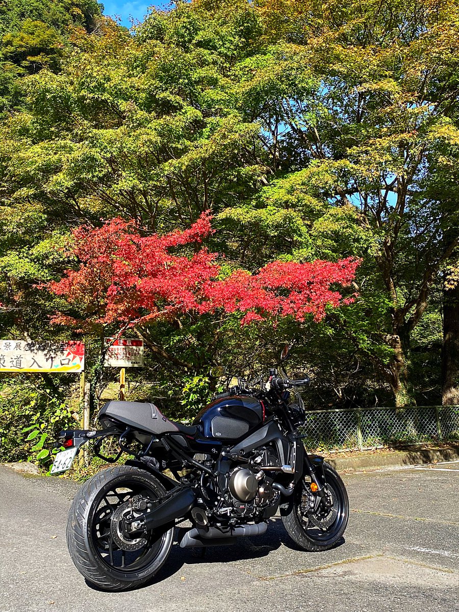 inadon3168's tweet photo. 2024.11.8
深耶馬渓から裏耶馬渓…
行ってきました😃
#XSR900 #RN80 #yamaha #バイク #motorcycle #bike #深耶馬渓 #裏耶馬渓 https://t.co/4kVrdnce1y