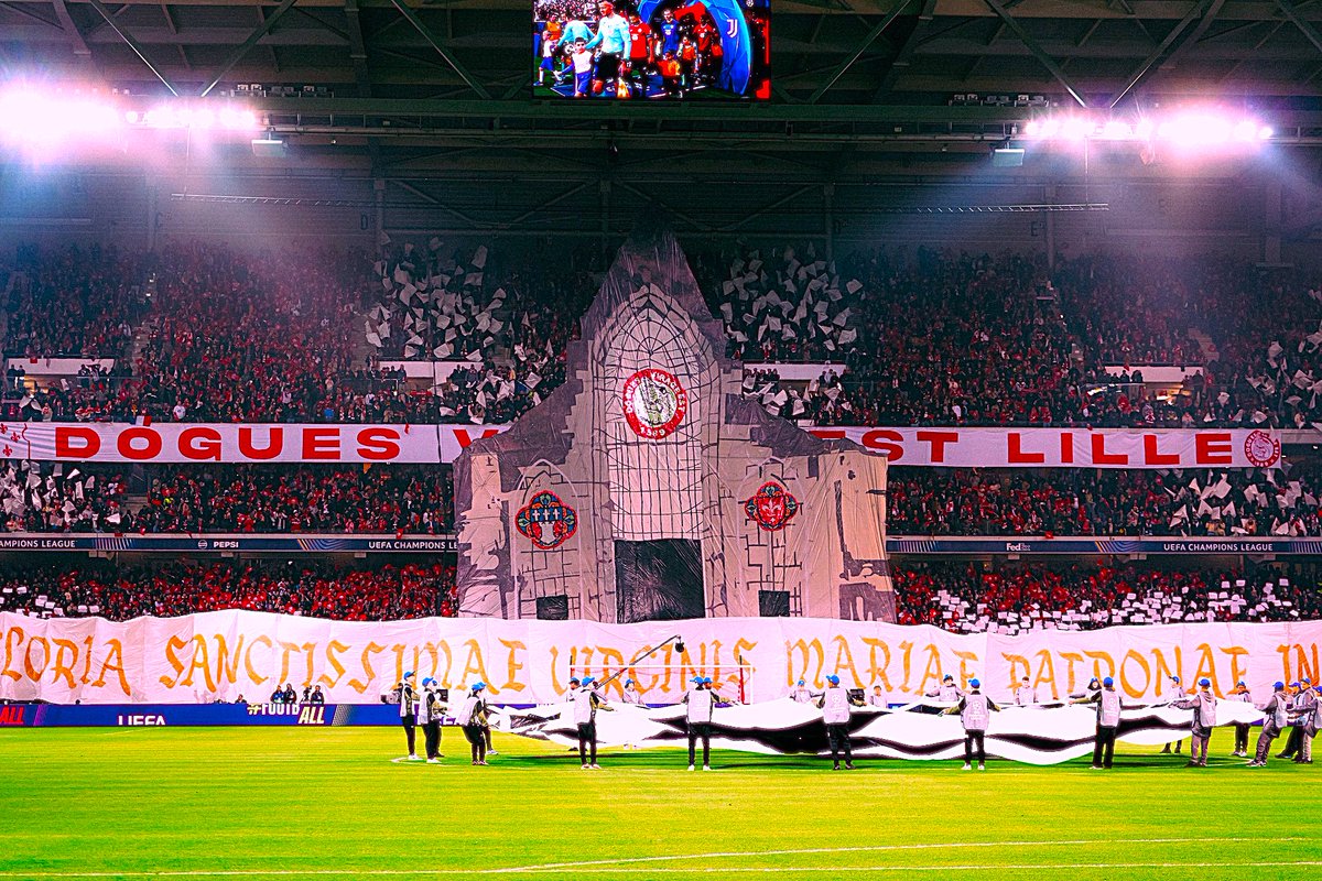 LOSC FANS ONLINE 🔴⚪ tweet media