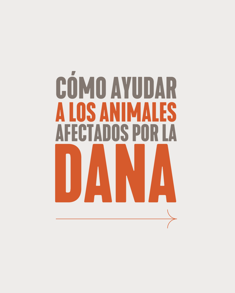 Fundacion Affinity tweet media