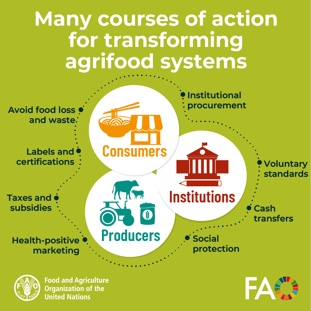 Transforming agrifood systems requires multiple levers to enhance sustainable practices, decent incomes &amp; healthier food choices.

No single strategy fits all, but together, we can enhance the value of agrifood systems.

📕bit.ly/4fjncne

#SOFA2024 #TrueCostOfFood