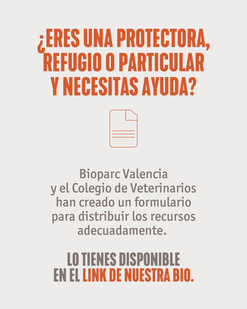 Fundacion Affinity tweet media