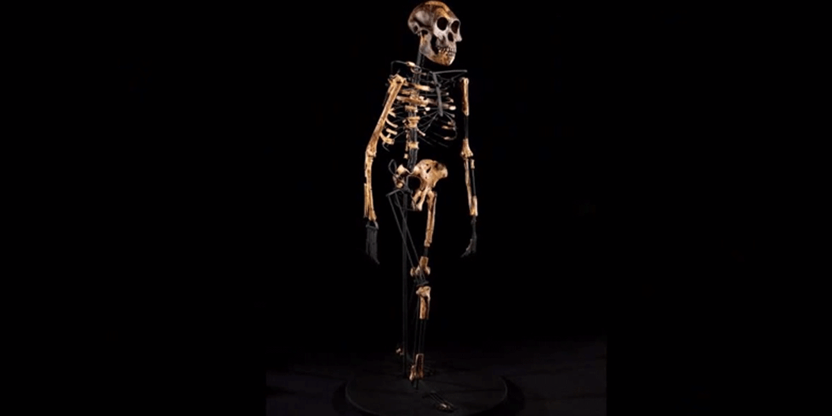 Antoine Beauchamp tweet media