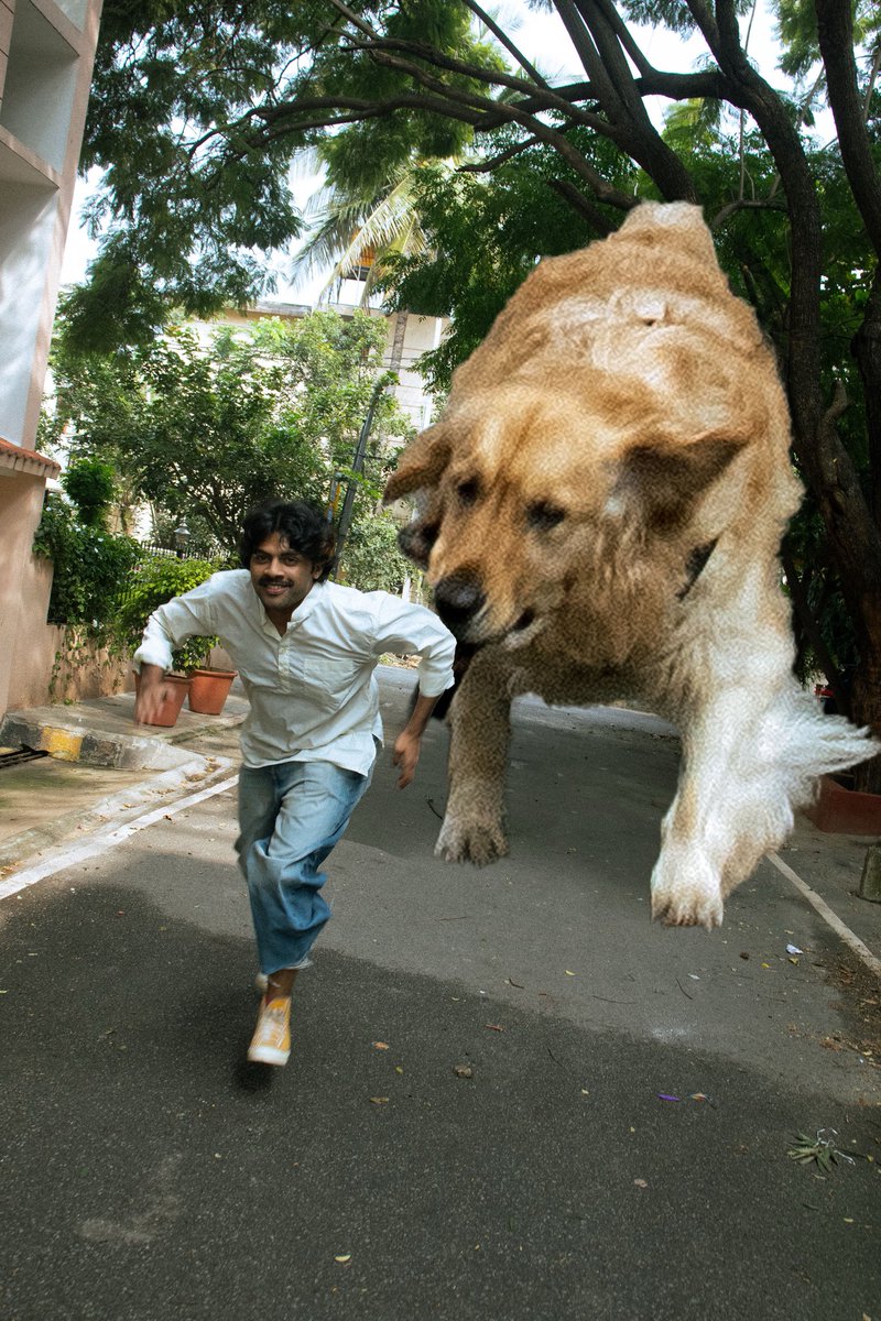 Studio Sorted tweet media