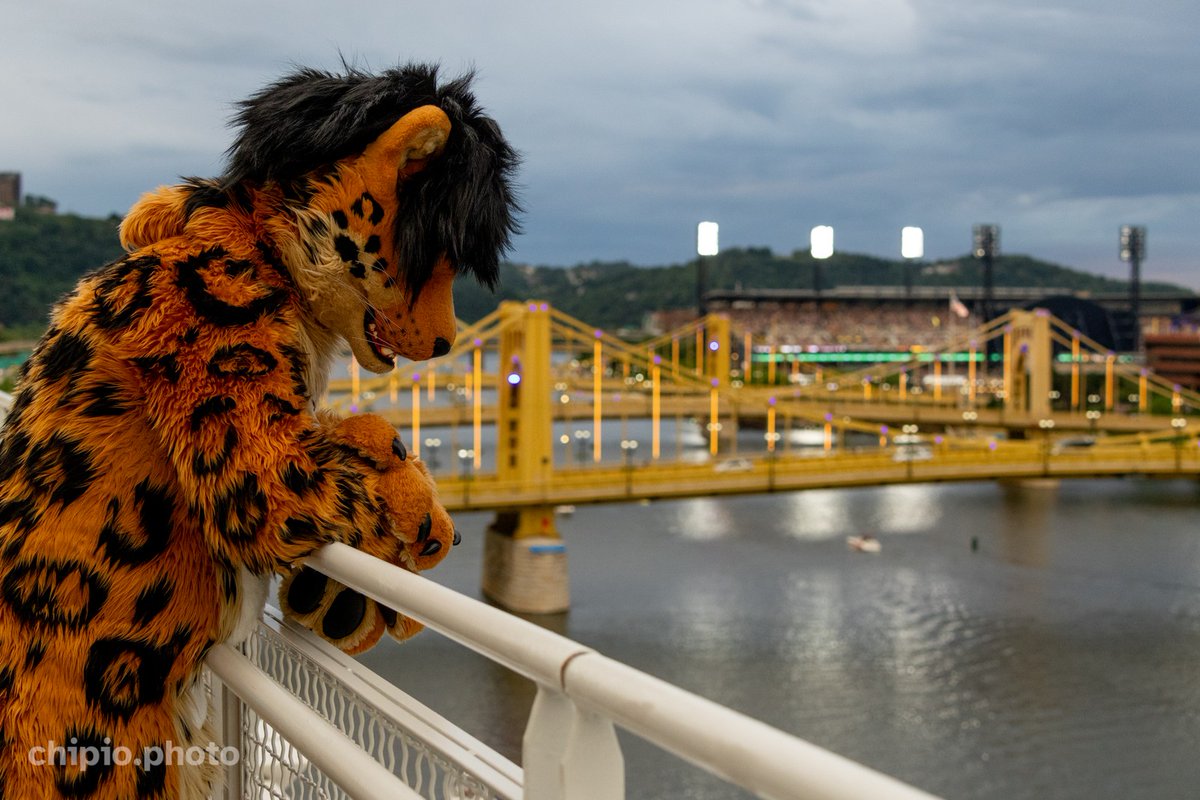 Account Not in Use- Check my Linktr.ee tweet media